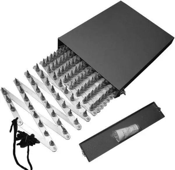 紅燈區(qū)死亡筆記:9個(gè)女孩,1把錐子,1個(gè)冰柜,1個(gè)黑色塑料袋